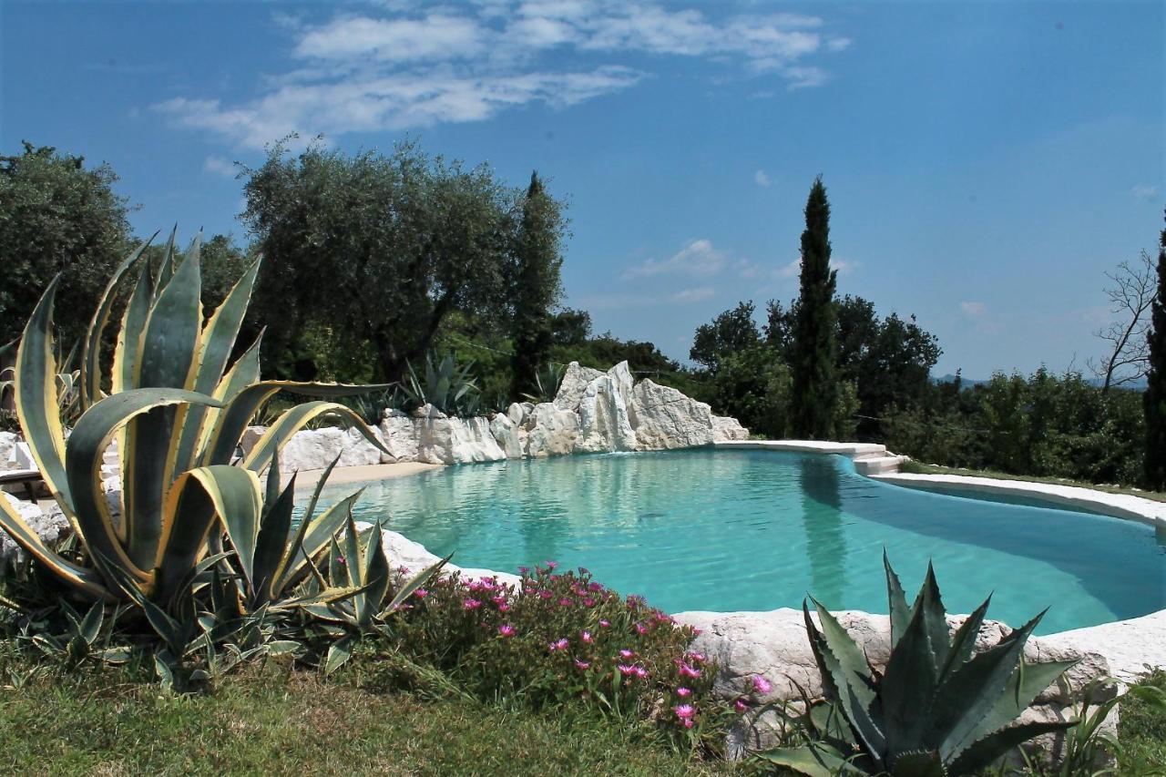 B&B Le Agavi Borso del Grappa Exterior photo