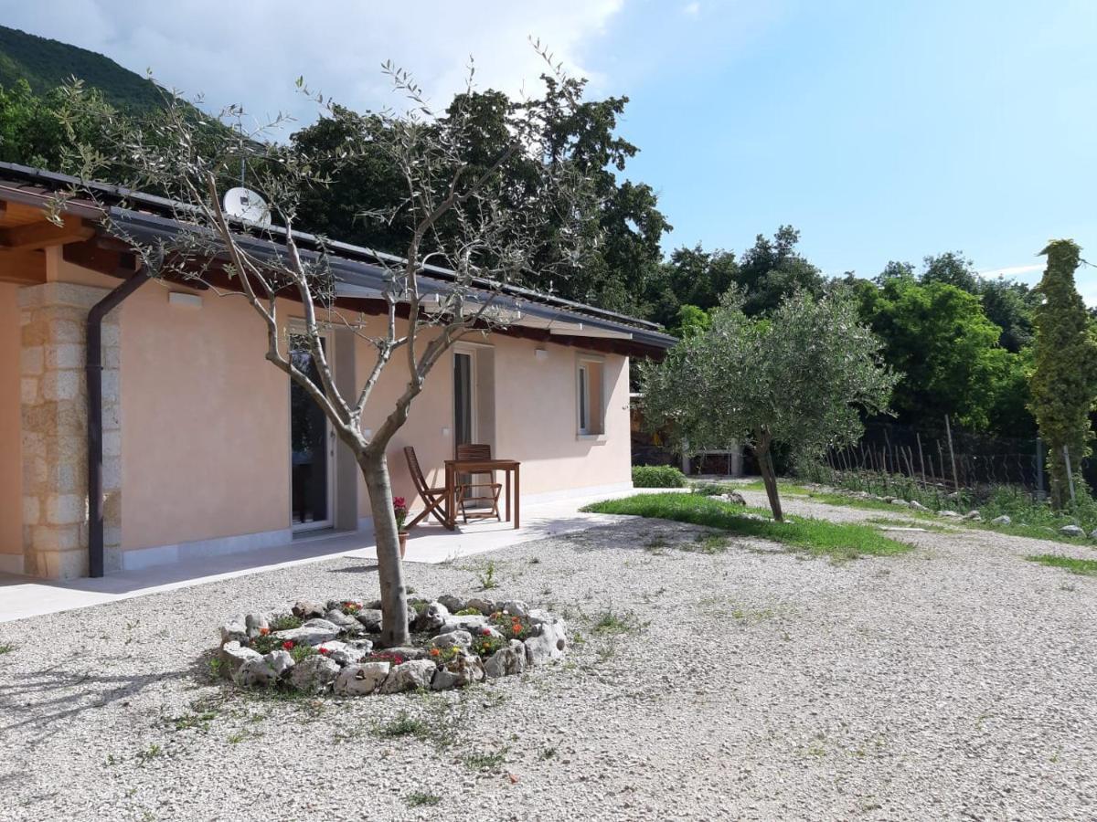 B&B Le Agavi Borso del Grappa Exterior photo